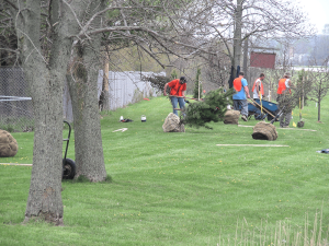 Planting Trees