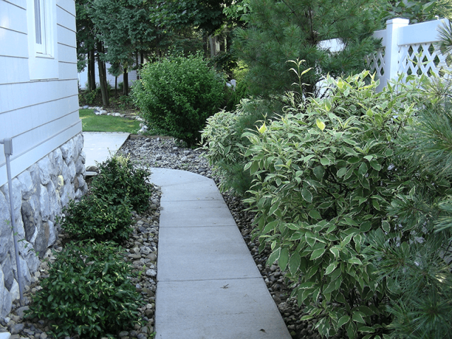 side yard landscape